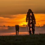 アルファリンク