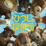 羊探偵団イメージ画像